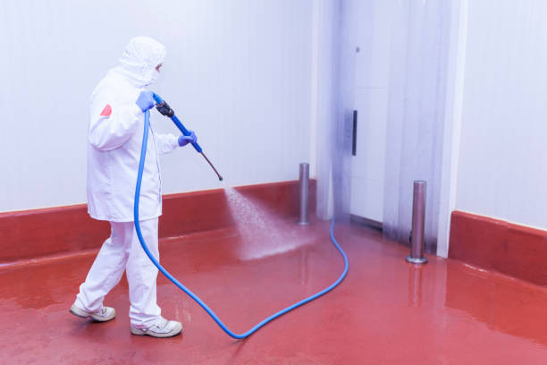 Best Solar Panel Cleaning  in Poinciana, FL